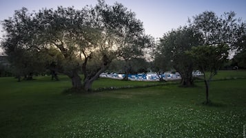 A grassy park area with trees and a row of blue tents in the background.