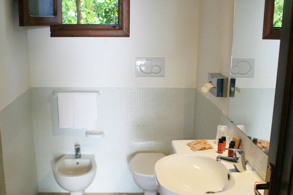 shower, hair dryer, bidet, towels