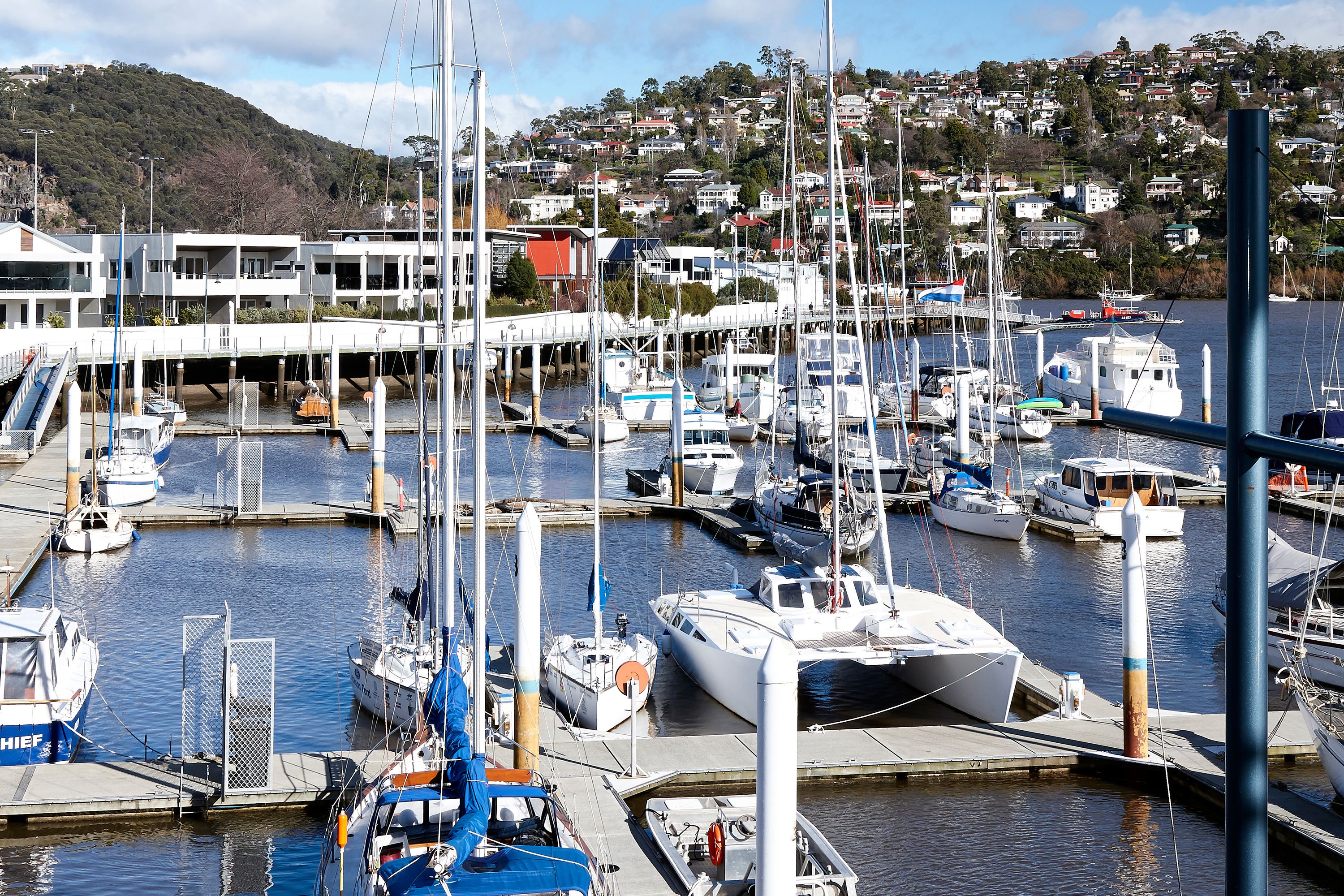 A marina with multiple boats docked, a bridge, and a hillside residential area in the background.