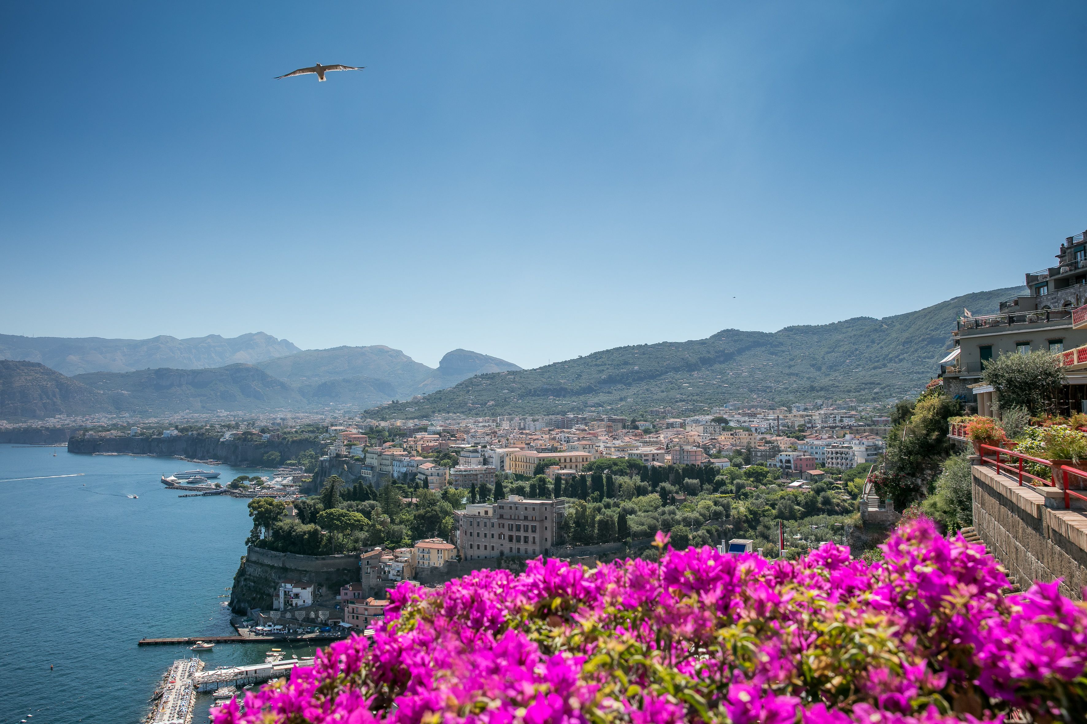 Foto - Hotel Minerva