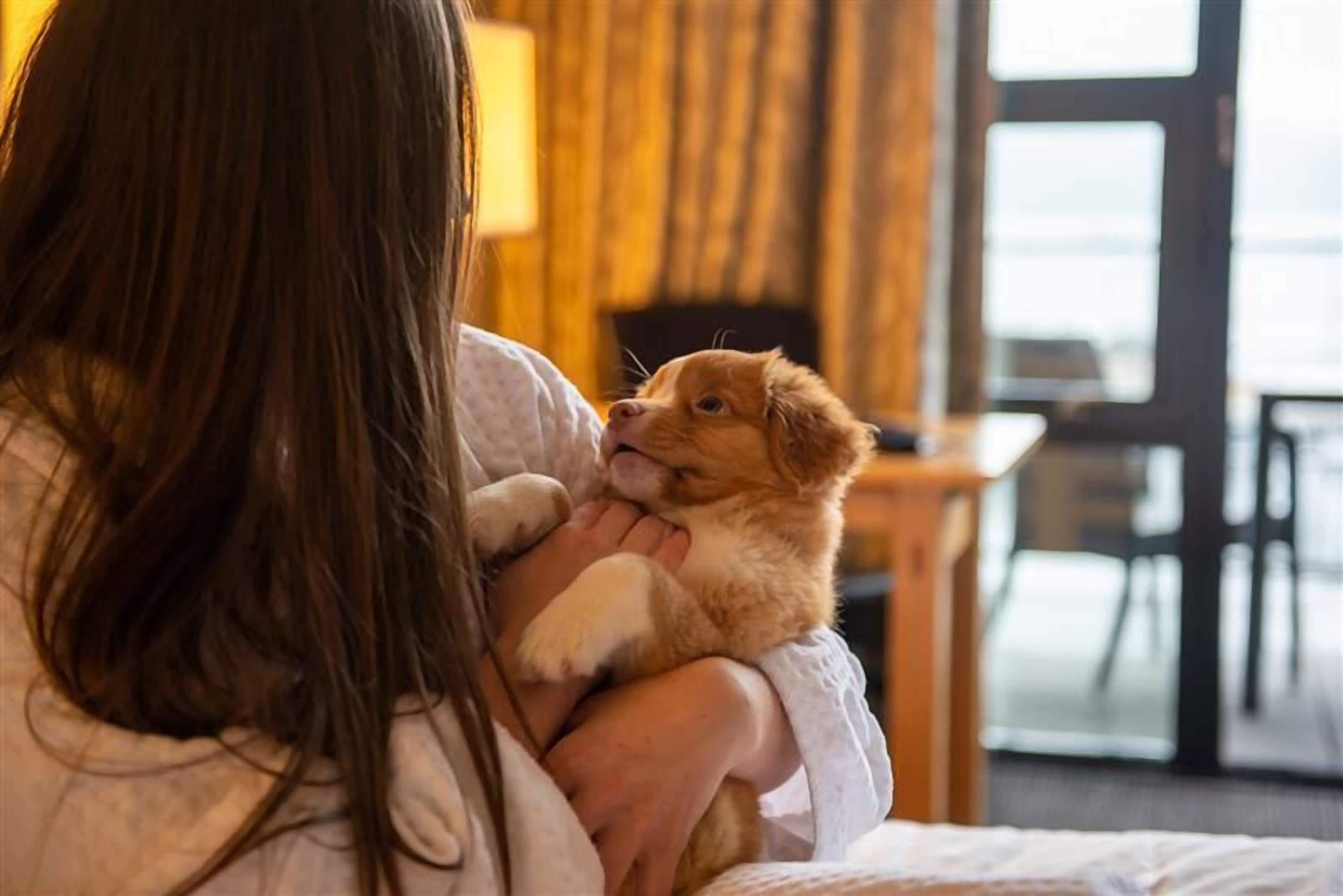 ocean king (pet friendly) | 1 bedroom, premium bedding, down duvets, in-room safe