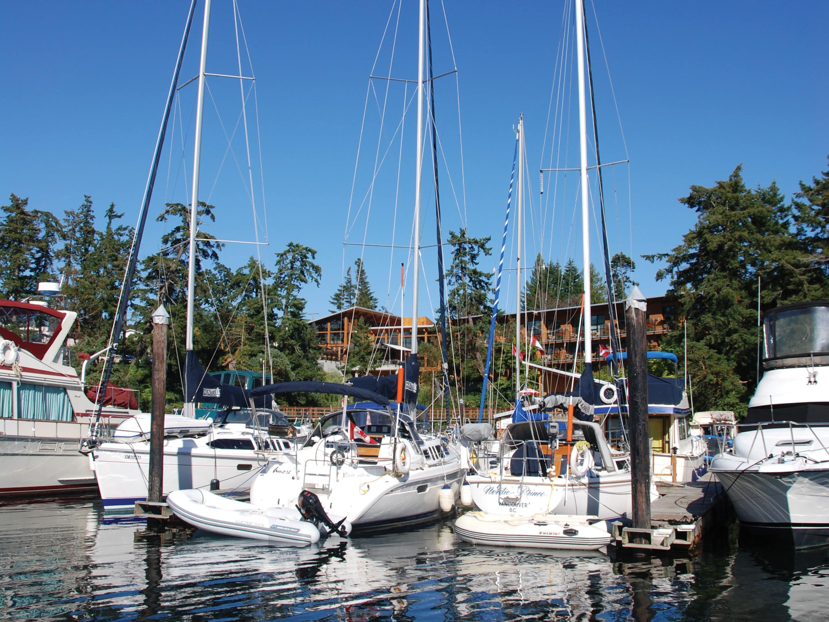 Un port de plaisance où sont amarrés de nombreux bateaux, entouré d’arbres et de bâtiments.
