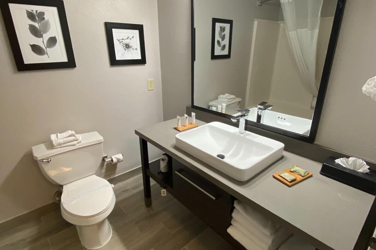 bathtub, designer toiletries, hair dryer, towels