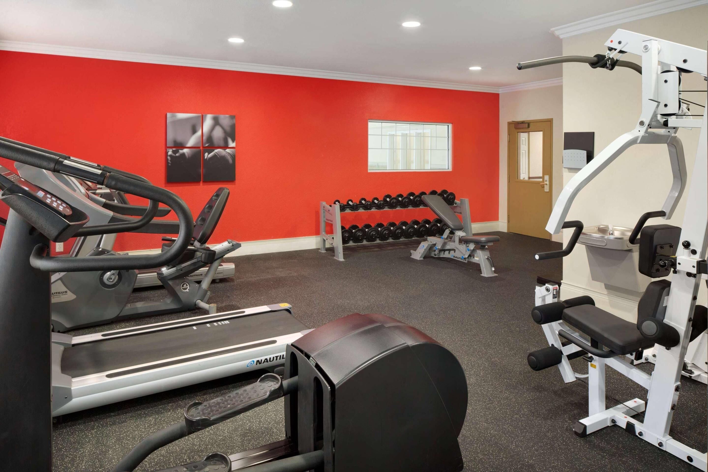 A gym with treadmills, dumbbells, and weight machines.