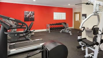 A gym with treadmills, dumbbells, and weight machines.