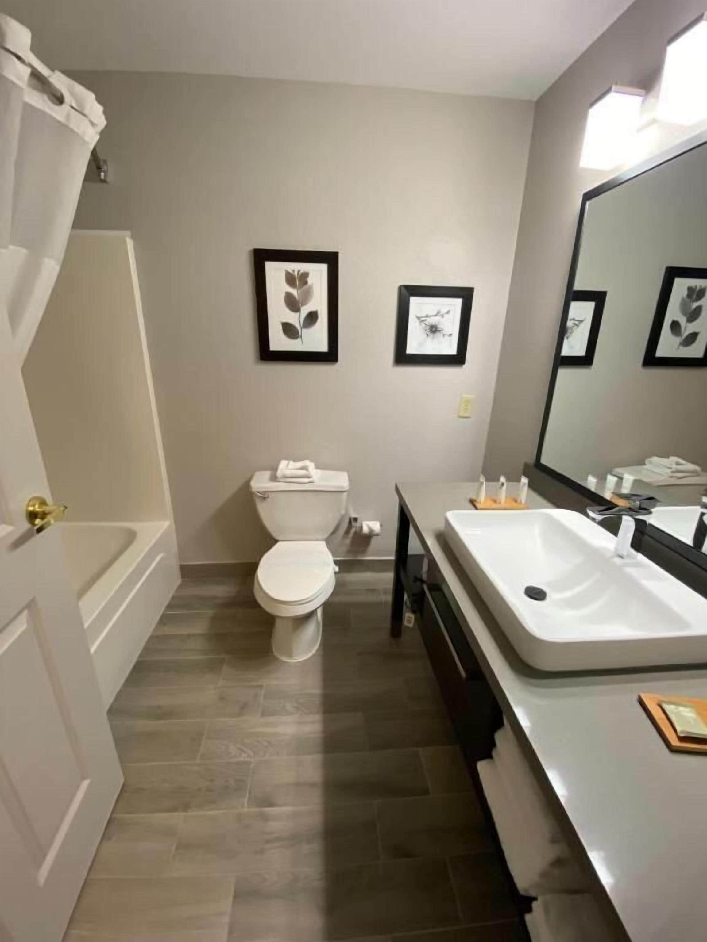 bathtub, designer toiletries, hair dryer, towels