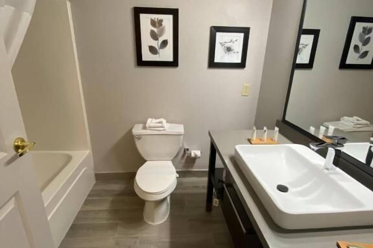 bathtub, designer toiletries, hair dryer, towels