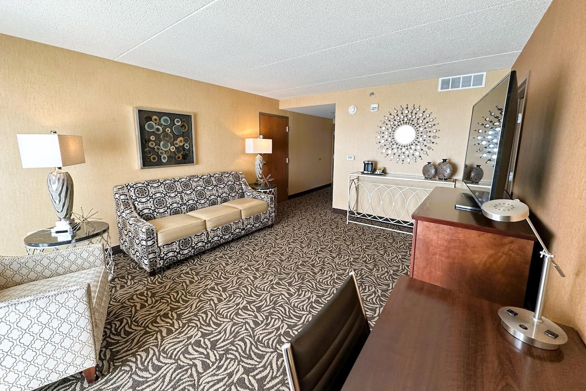 Une chambre d’hôtel avec un tapis à motifs, un canapé, un bureau, une chaise, une lampe, un miroir et des éléments décoratifs sur les murs.