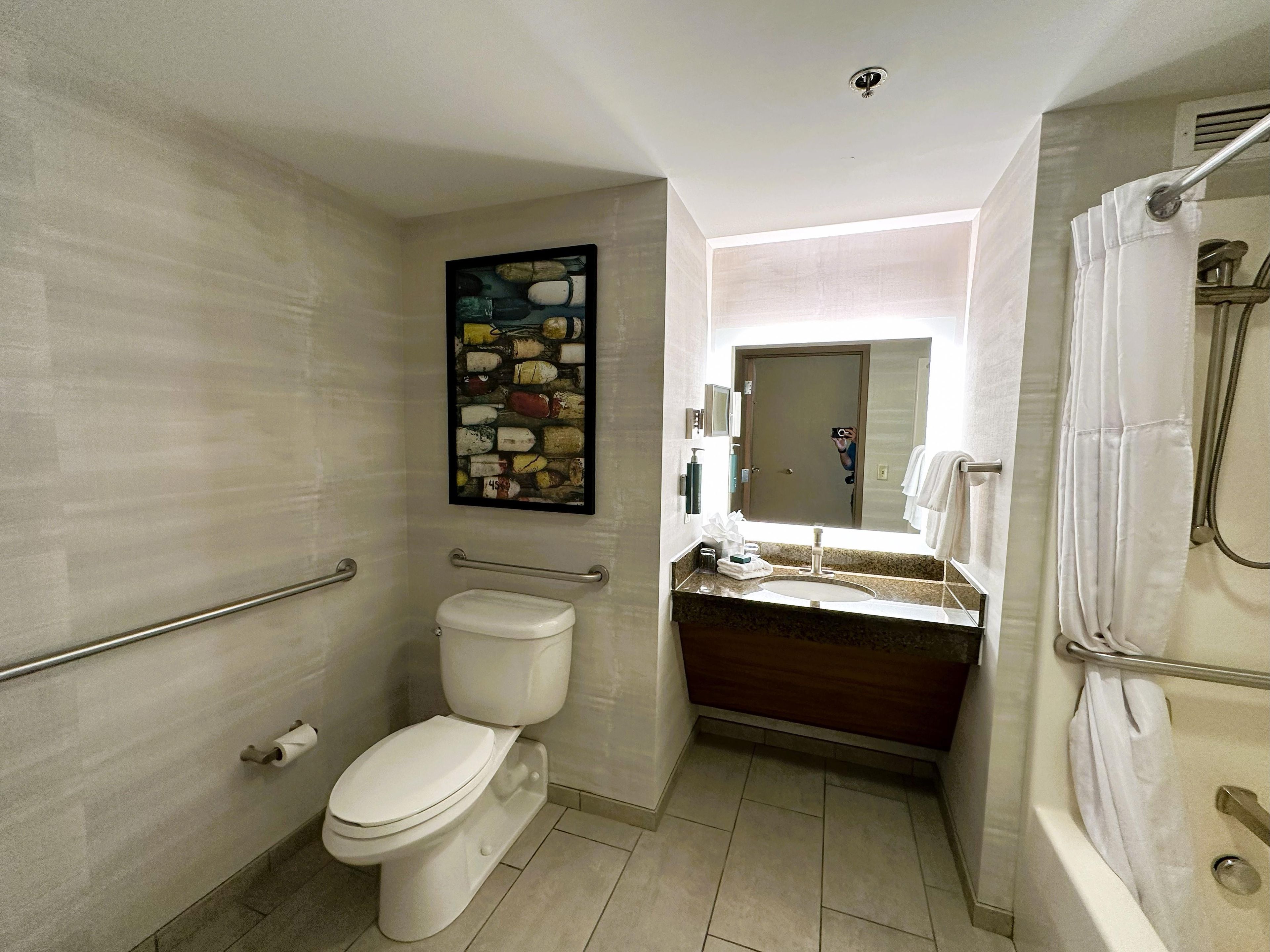 A bathroom with a toilet, sink, shower, and a painting on the wall.
