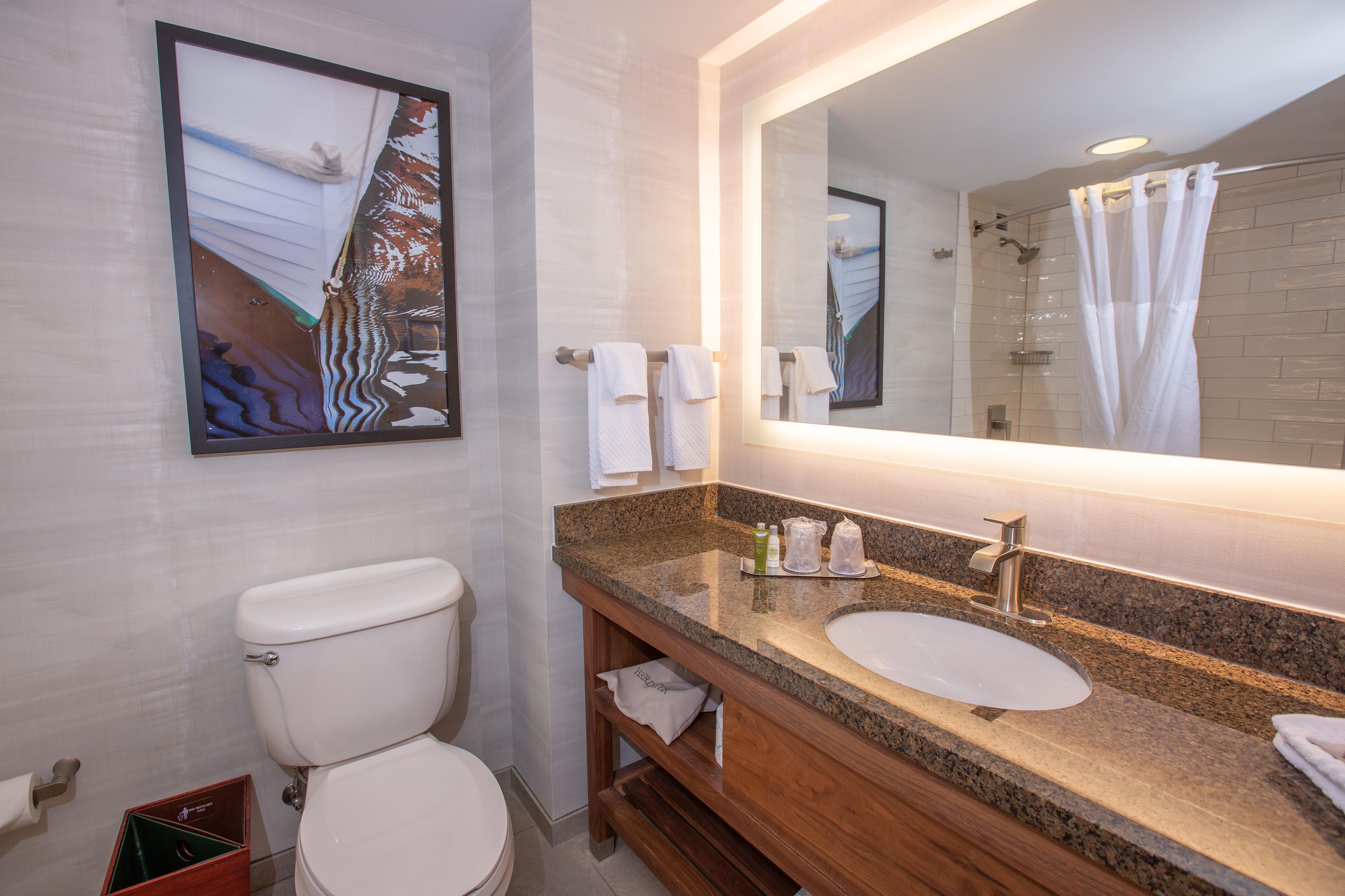 Un baño con inodoro, lavabo y ducha. Hay un cuadro en la pared y un perchero para toallas.