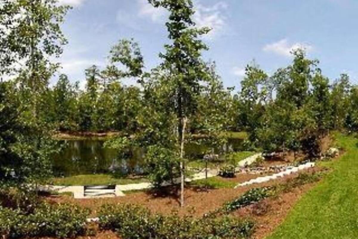 A landscaped area with a pond, trees, and a pathway.