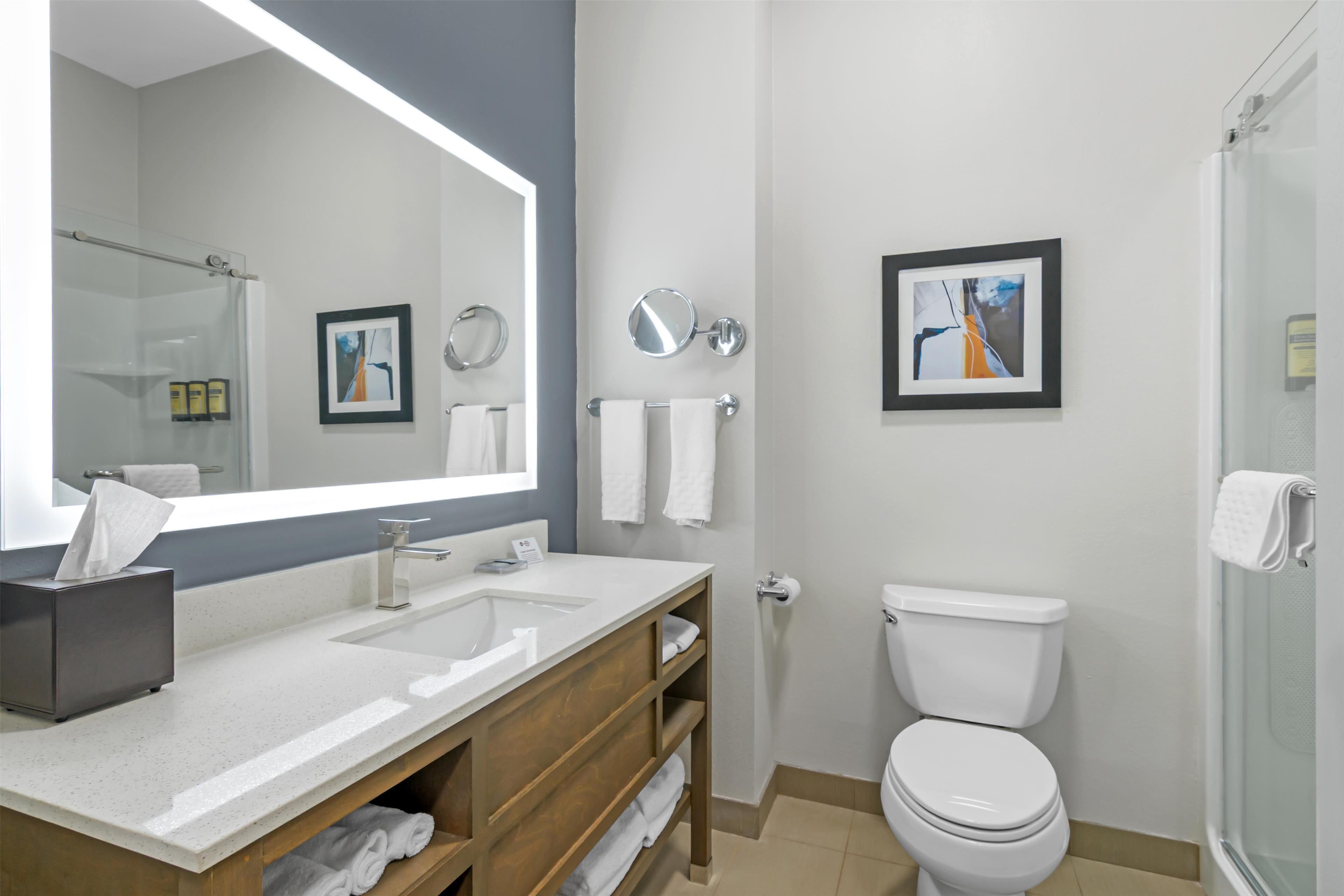 standard room, 1 king bed, accessible, non smoking | bathroom | free toiletries, hair dryer, towels, soap