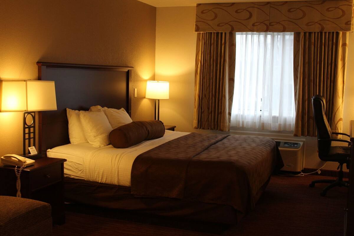 Verdunkelungsvorhänge, Bügeleisen/Bügelbrett, Babybetten, Zustellbetten