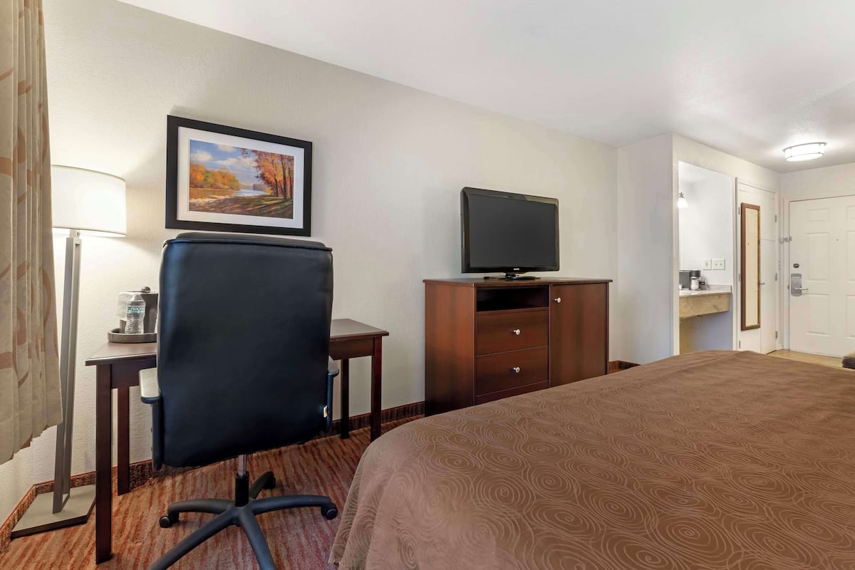A hotel room with a bed, a desk with a chair, a television, a framed picture on the wall, and a door.