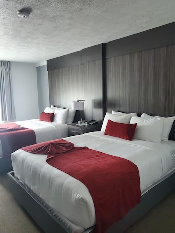1 habitación, ropa de cama de alta calidad y escritorio
