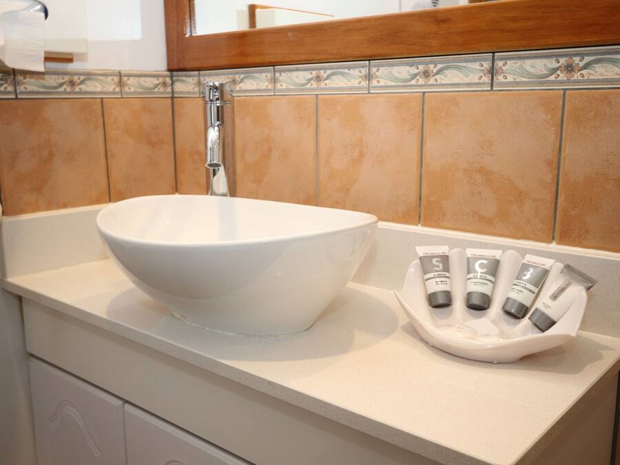 Un baño con un lavamanos grande de color blanco, un espejo y un jabonera con varios tubos.