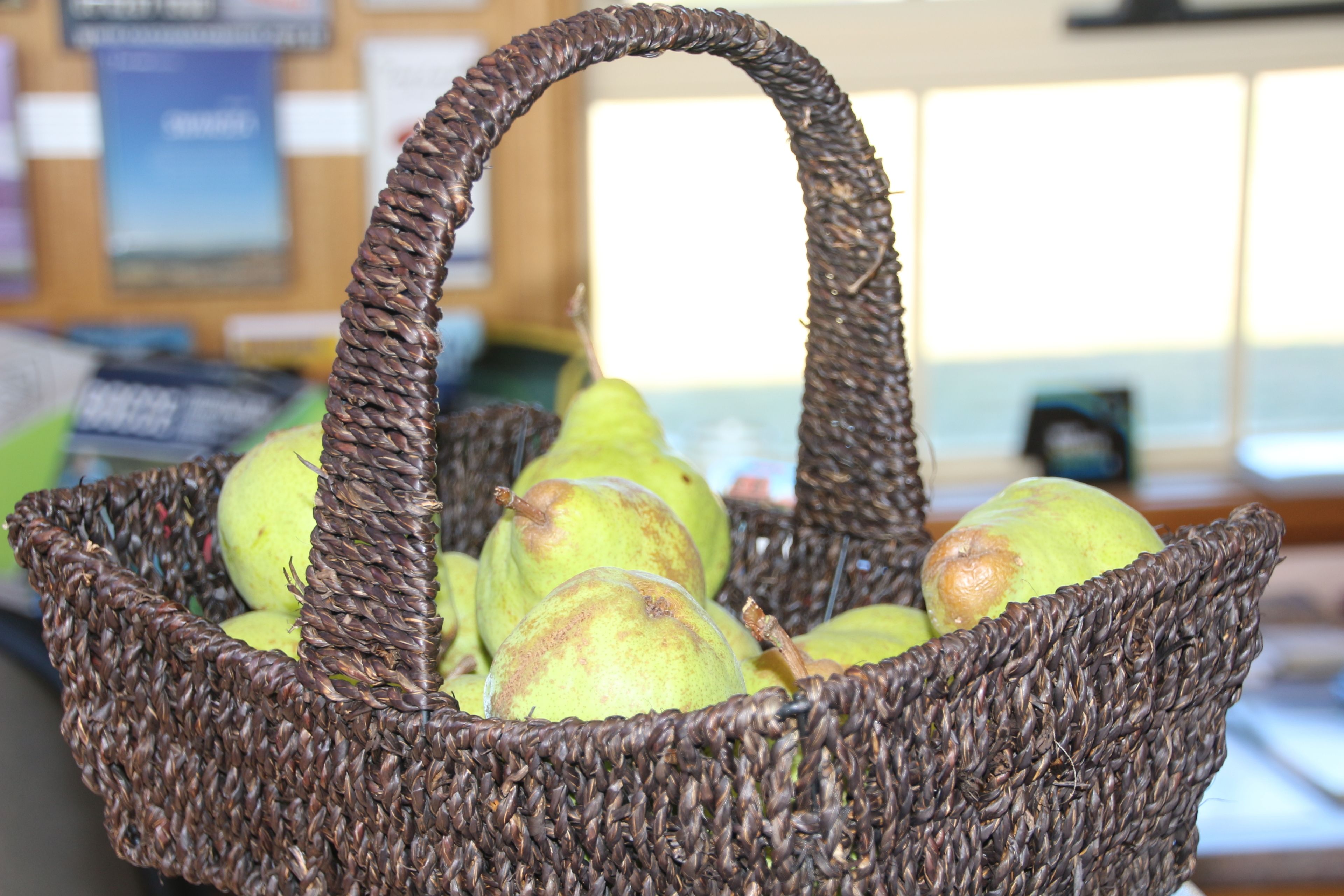 A wicker basket containing green pears.