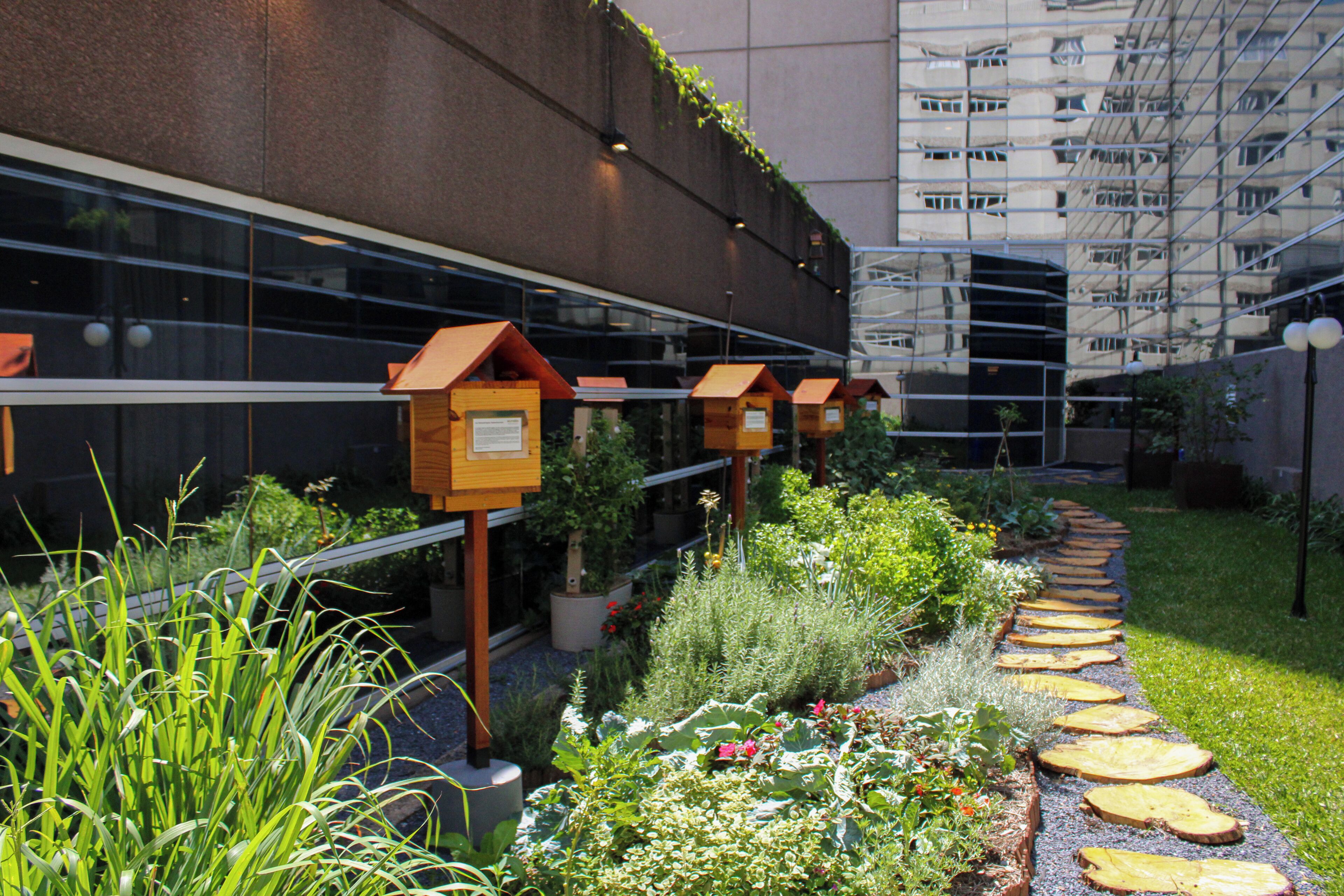 A garden pathway with wooden planters and a modern building in the background.