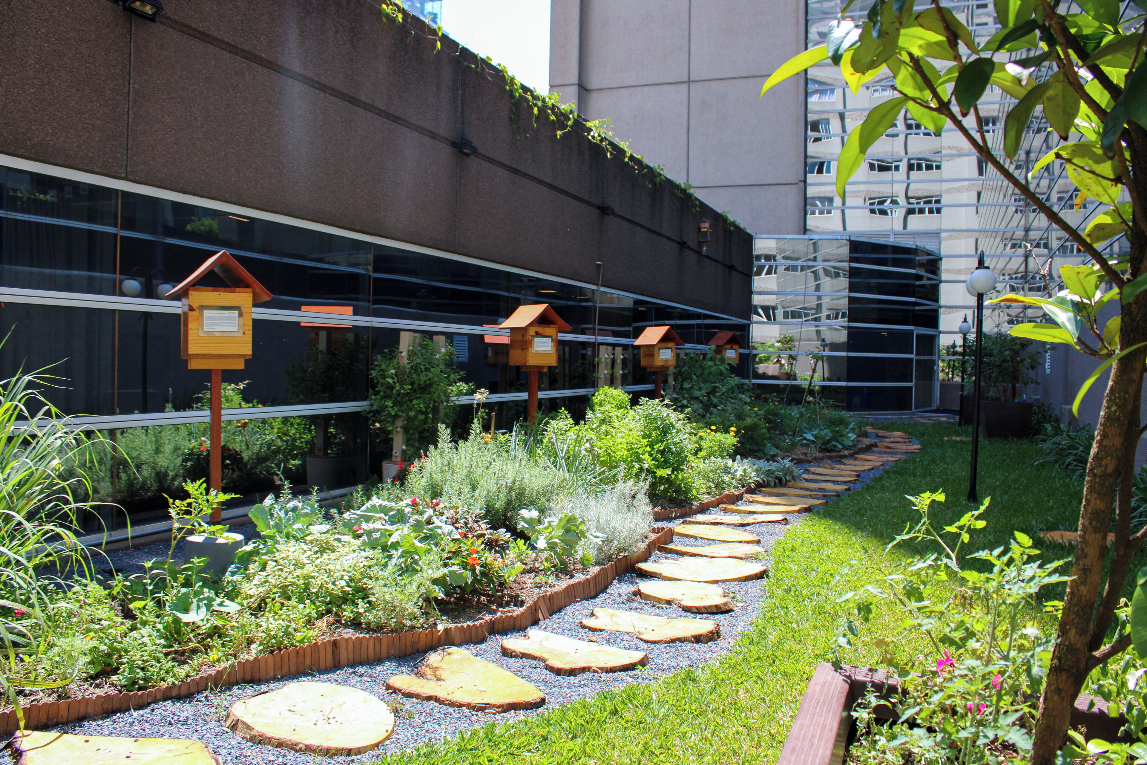 A garden pathway with wooden planters and a building with reflective windows in the background.