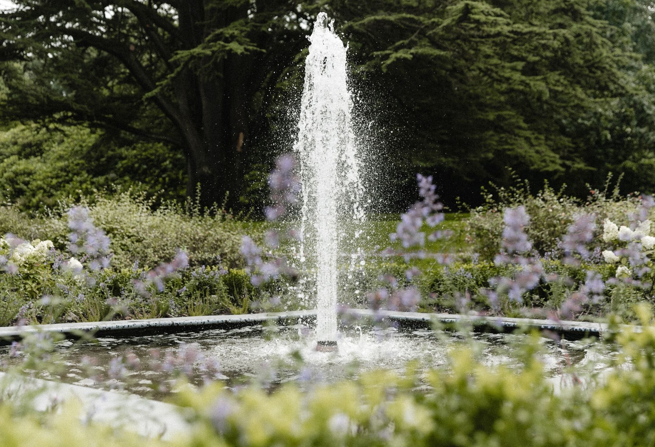 fountain