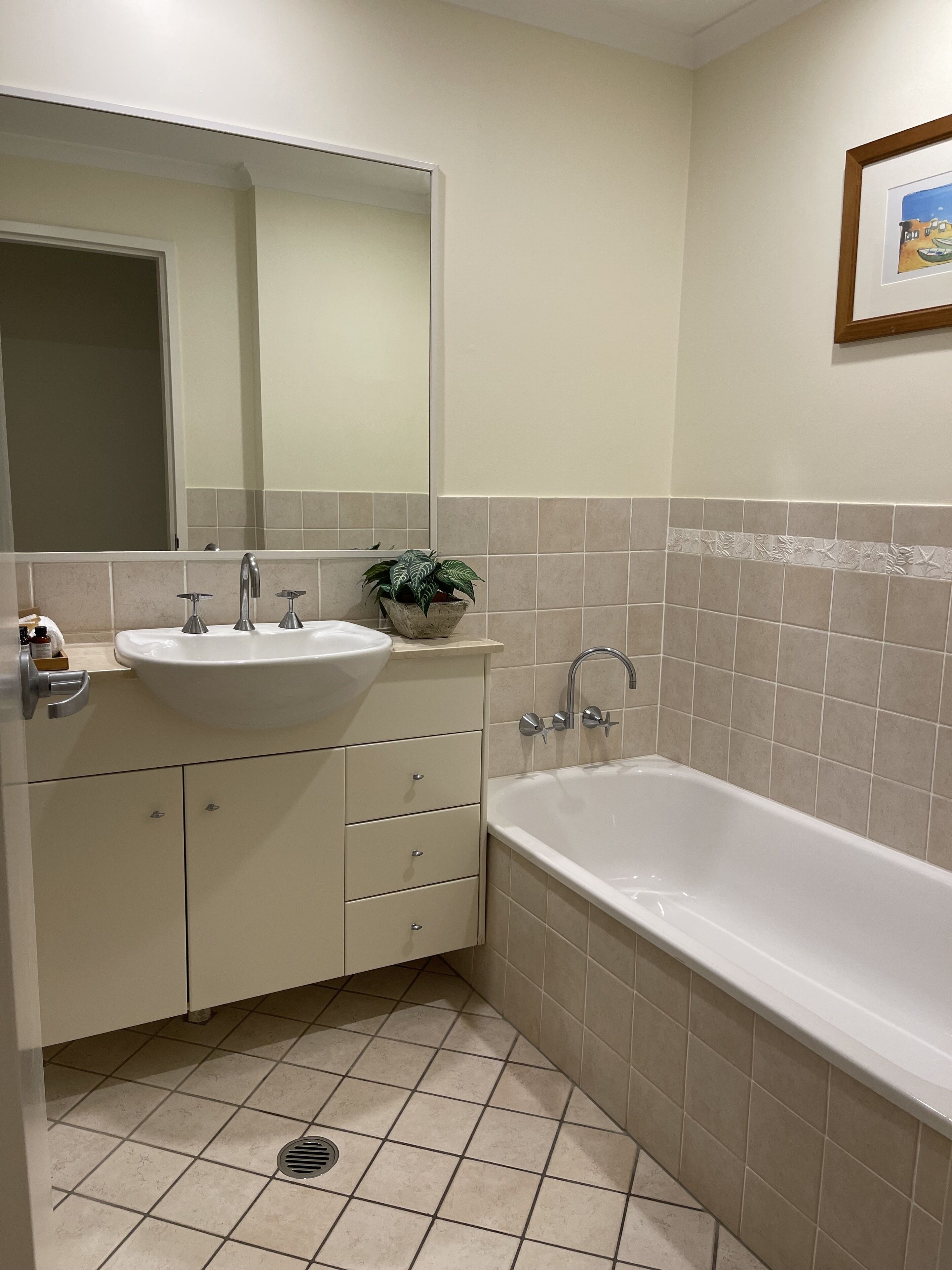 Une salle de bain avec un lavabo, un miroir, un meuble, une plante et une baignoire.