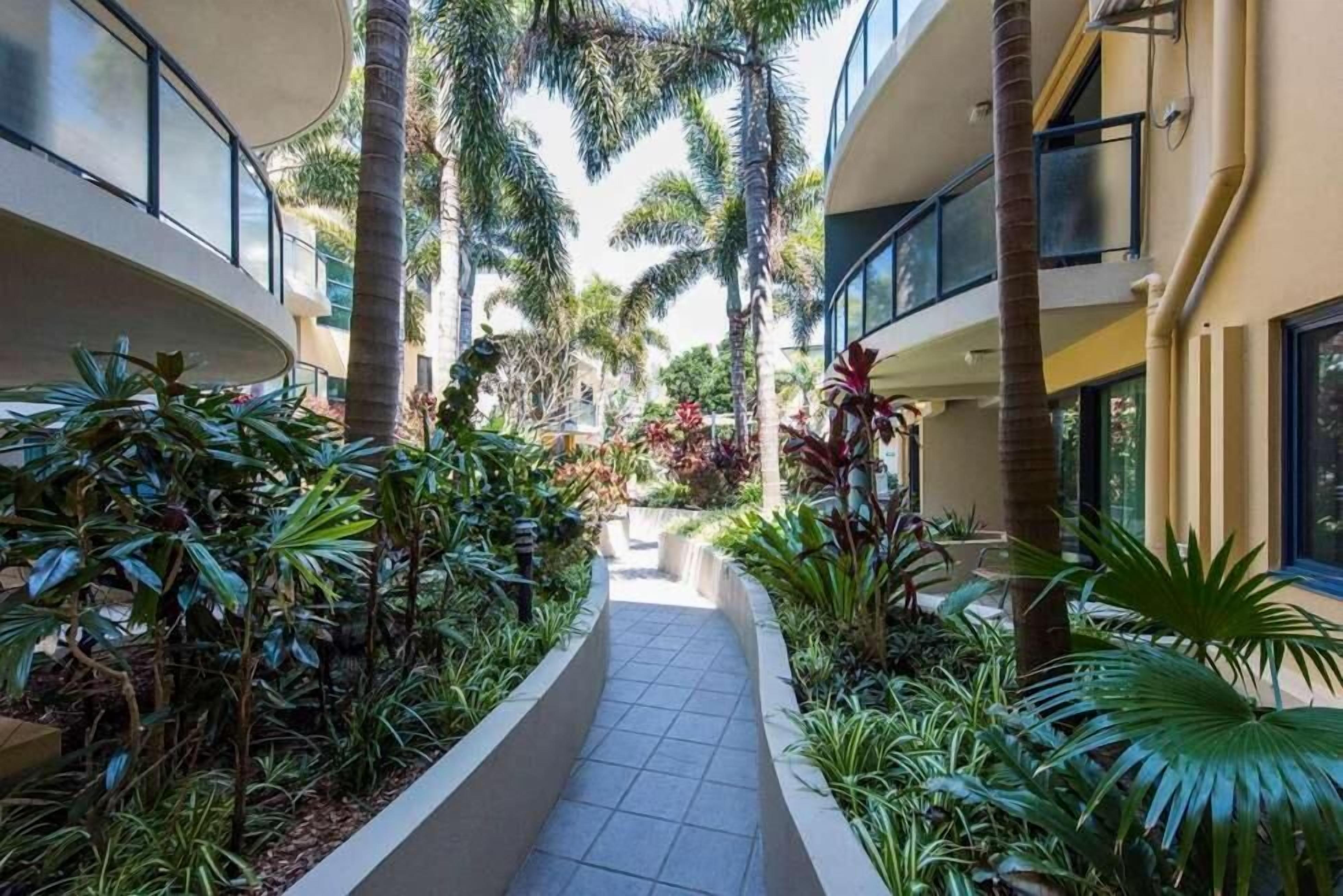 A corridor with a tiled floor, surrounded by lush greenery and palm trees, leading to a building with large windows.