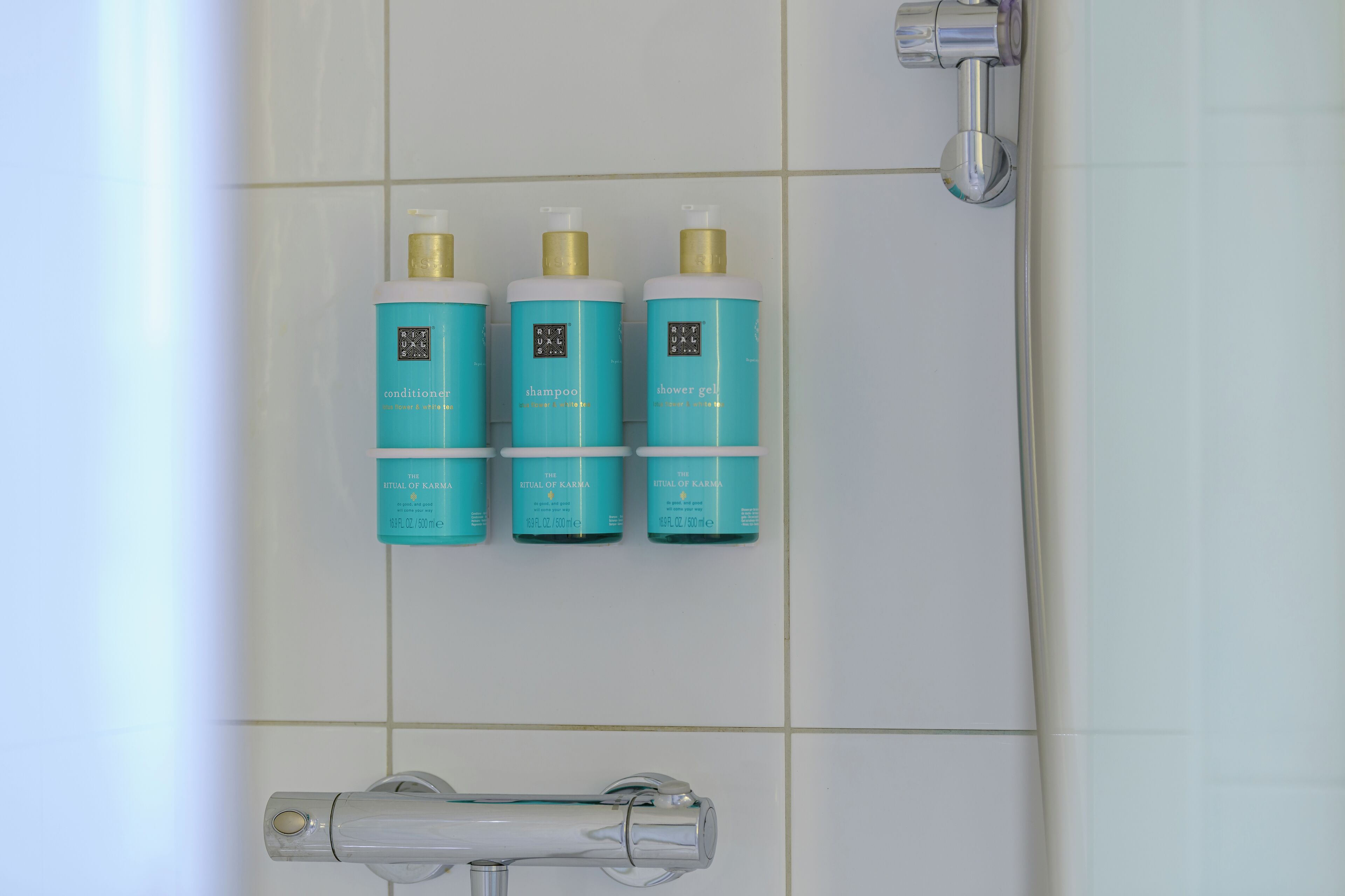 executive room, 1 double bed with sofa bed | bathroom shower