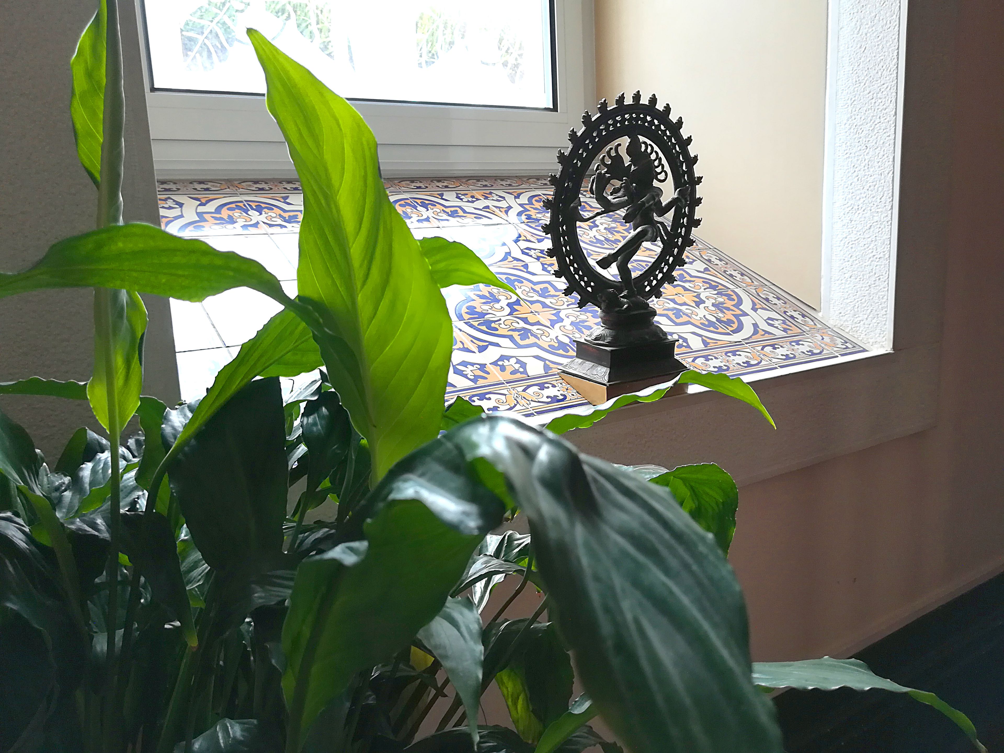 Photo - Alegre - Bussaco Boutique Hotel