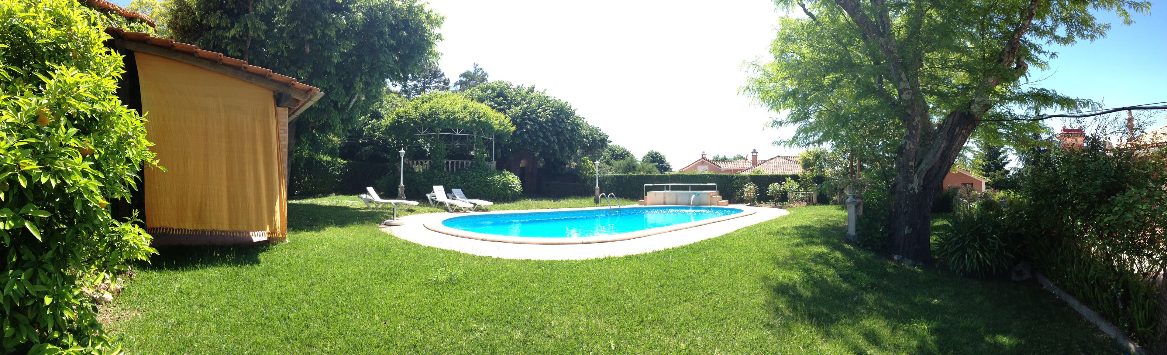 A backyard with a swimming pool, a covered area, and surrounding greenery.