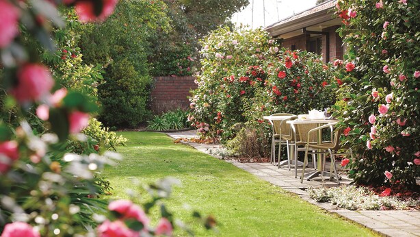 A garden with a patio table and chairs, surrounded by lush greenery and flowering bushes.