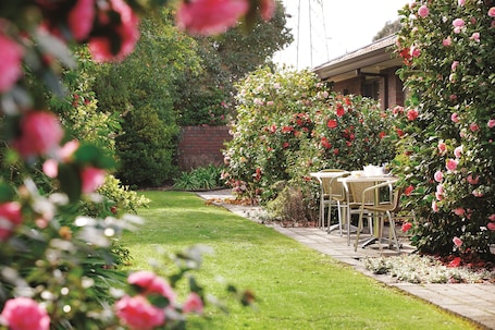 Garden Suite | View from room