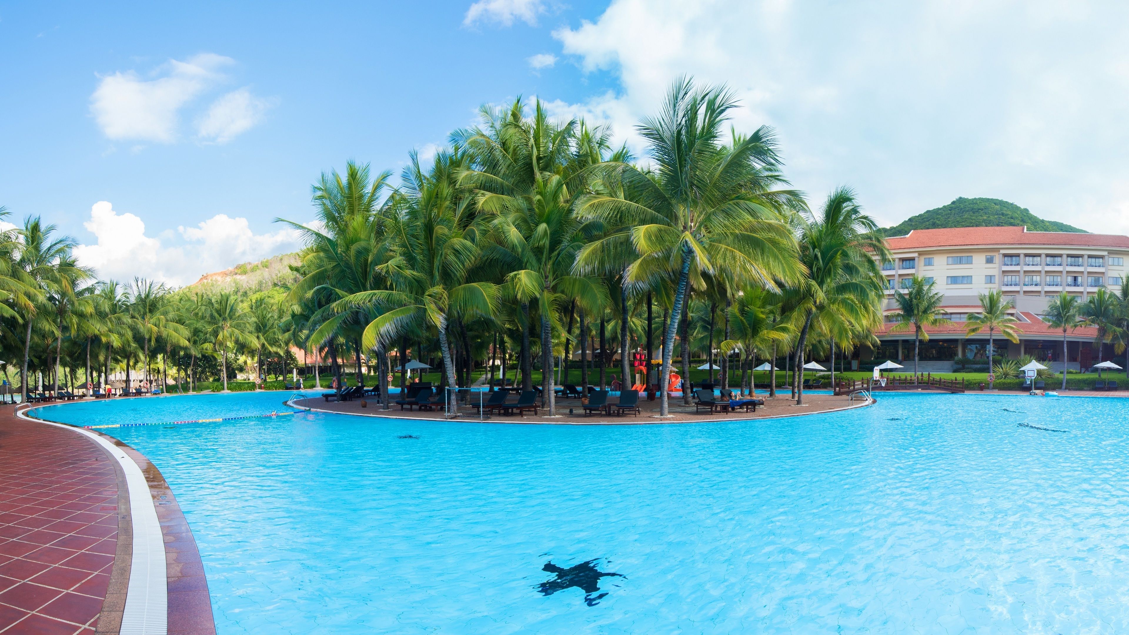 Piscine extérieure, parasols de plage, chaises longues