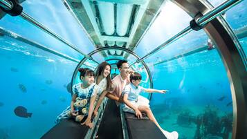 Una familia dentro de un túnel submarino con agua cristalina y vida marina visible.