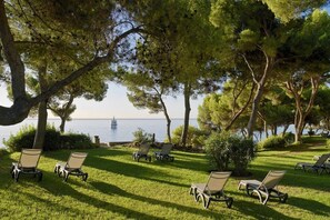 المنطقة المحيطة بالمنشأة