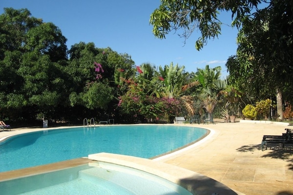 Outdoor pool, open 5 AM to 9 PM, pool umbrellas, sun loungers