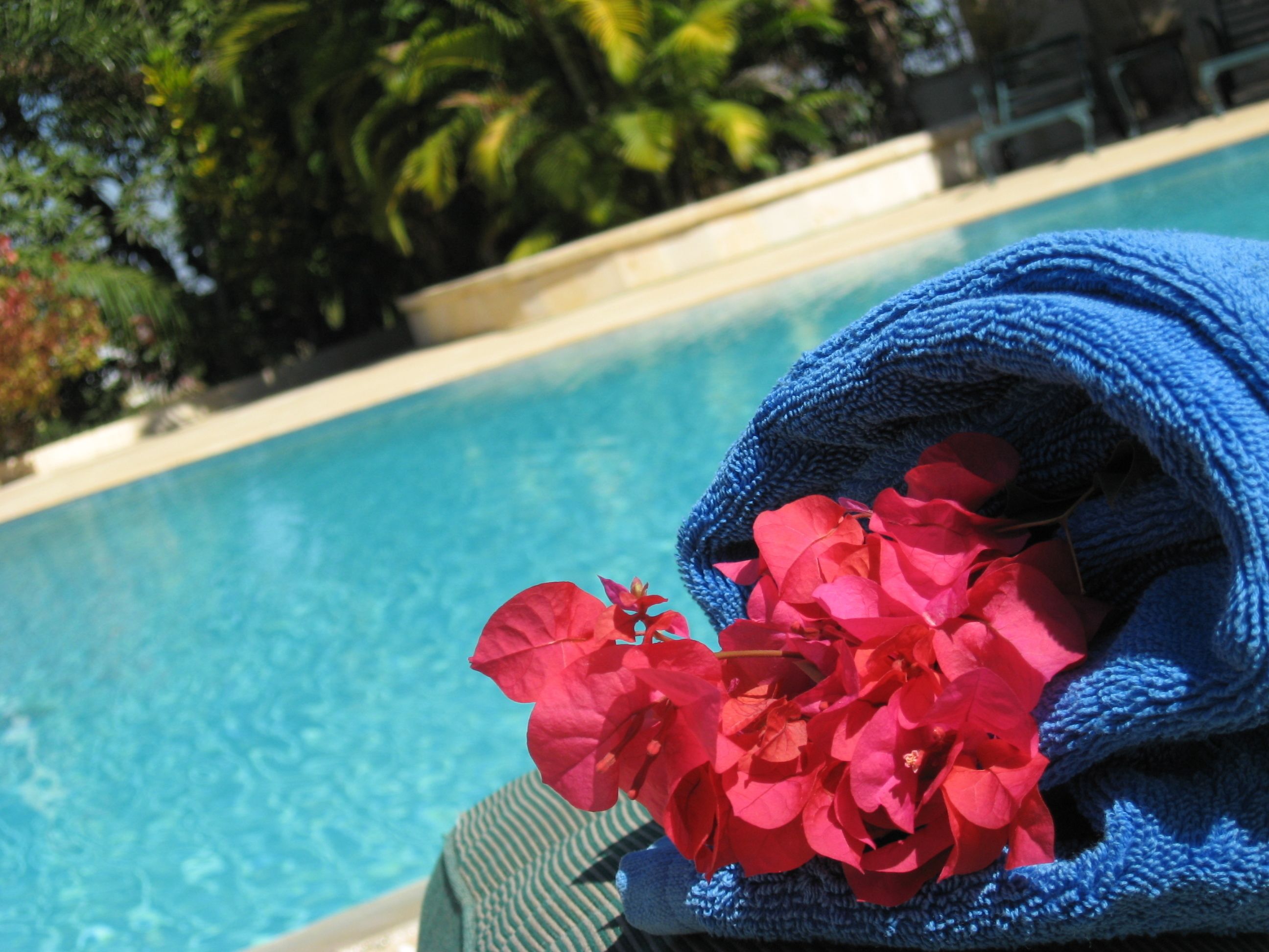 A pool with clear blue water, surrounded by greenery and a blue towel with red flowers.