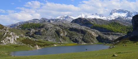 Un paisaje montañoso con un lago y un cielo despejado.