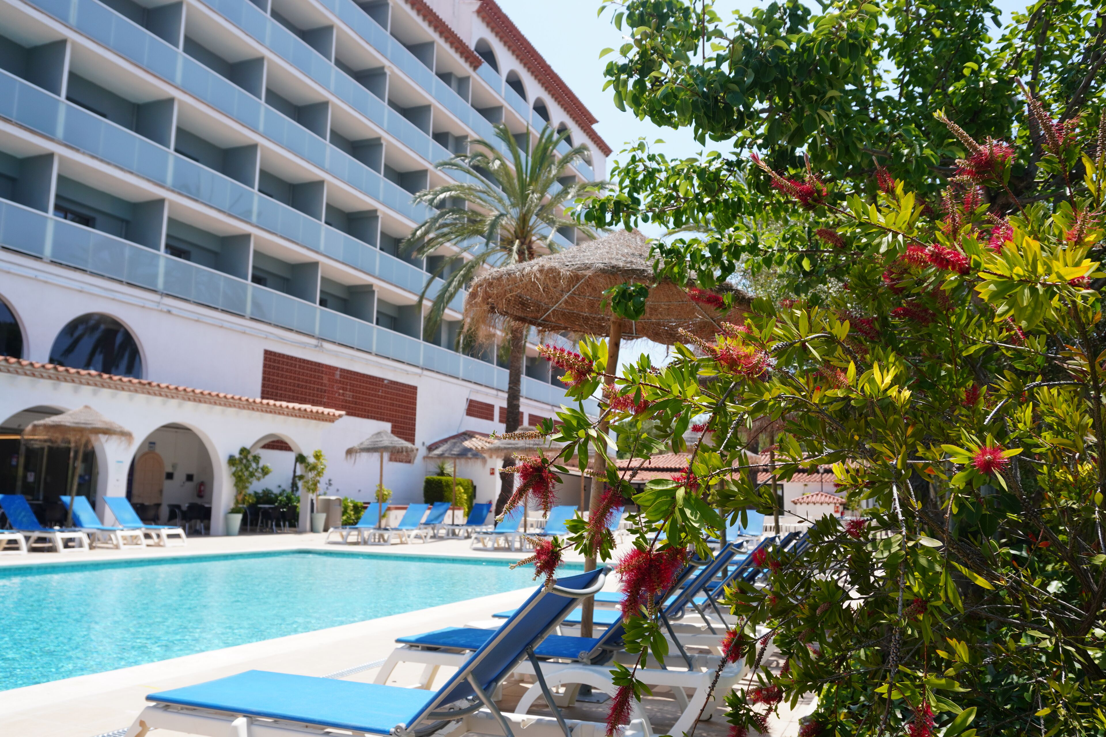 Zona de piscina hotelera con sillas reclinables azules, una piscina y un edificio con balcones.