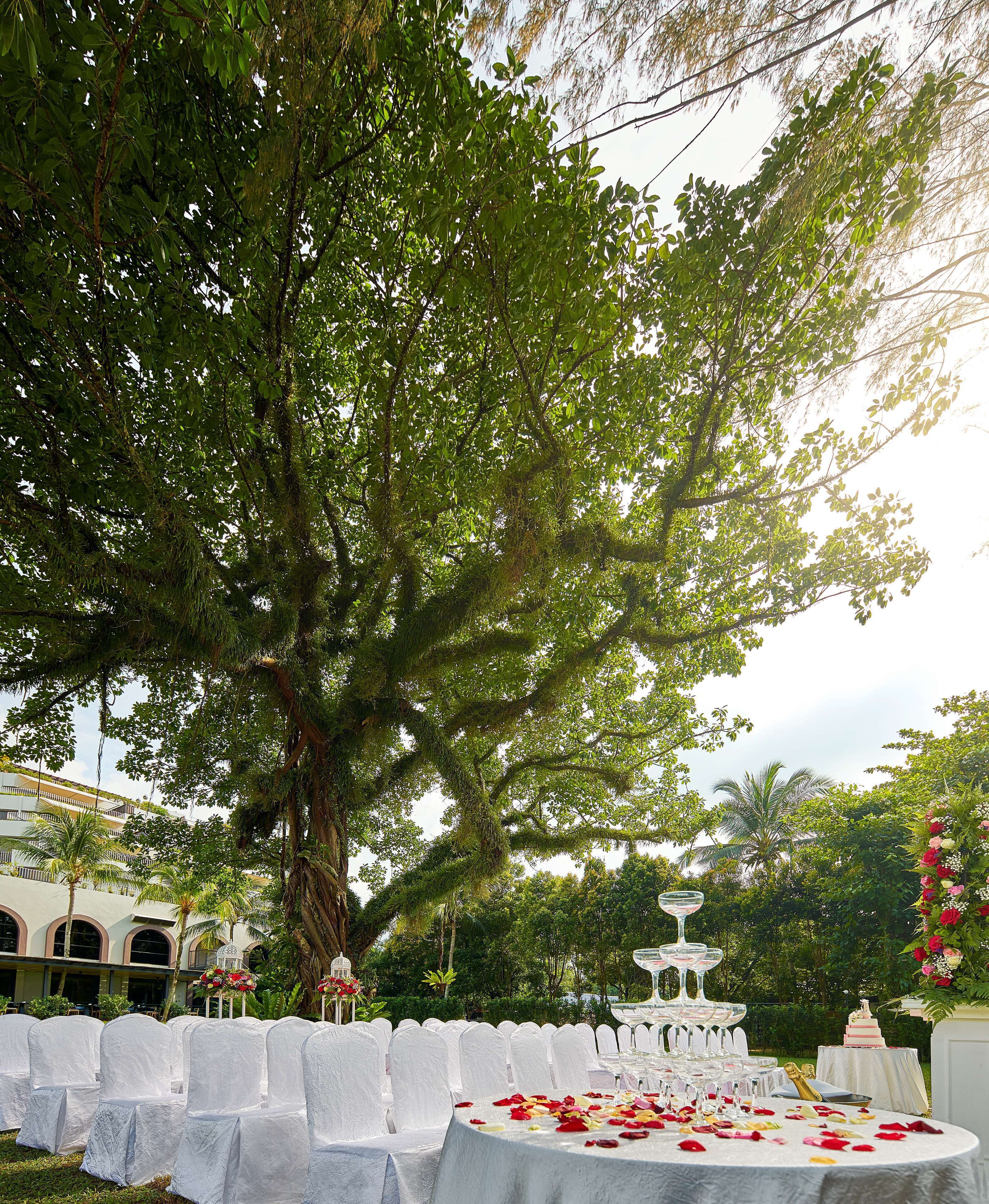 outdoor wedding area