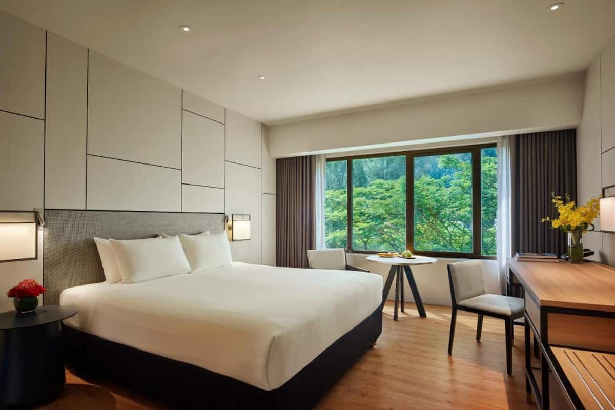 A modern hotel room with a large bed, a desk, and a view of greenery.