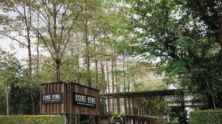 槟城孤松酒店 - 臻品之选度假村