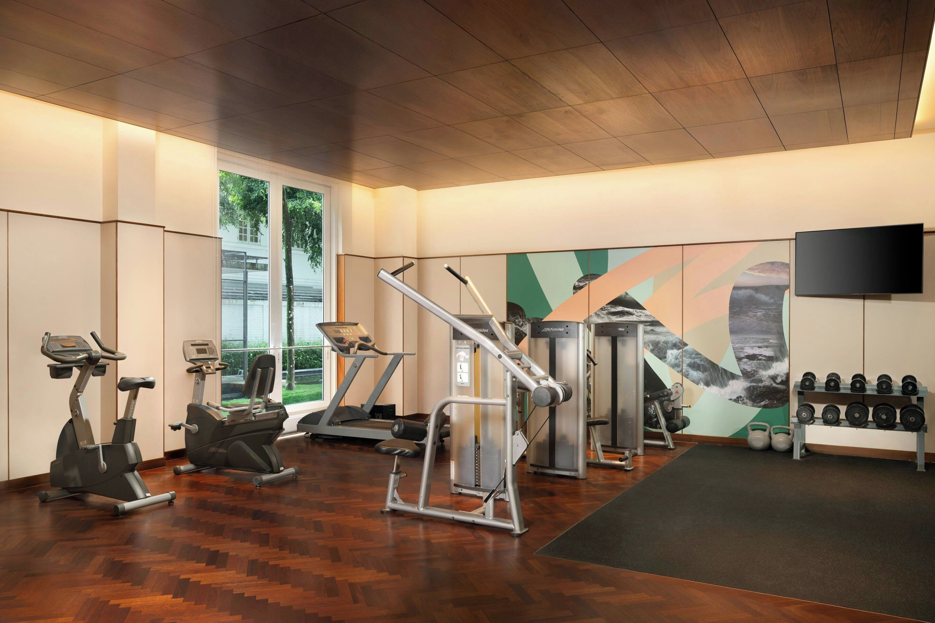 A gym with exercise equipment, a television, and a wall with a mountain painting.