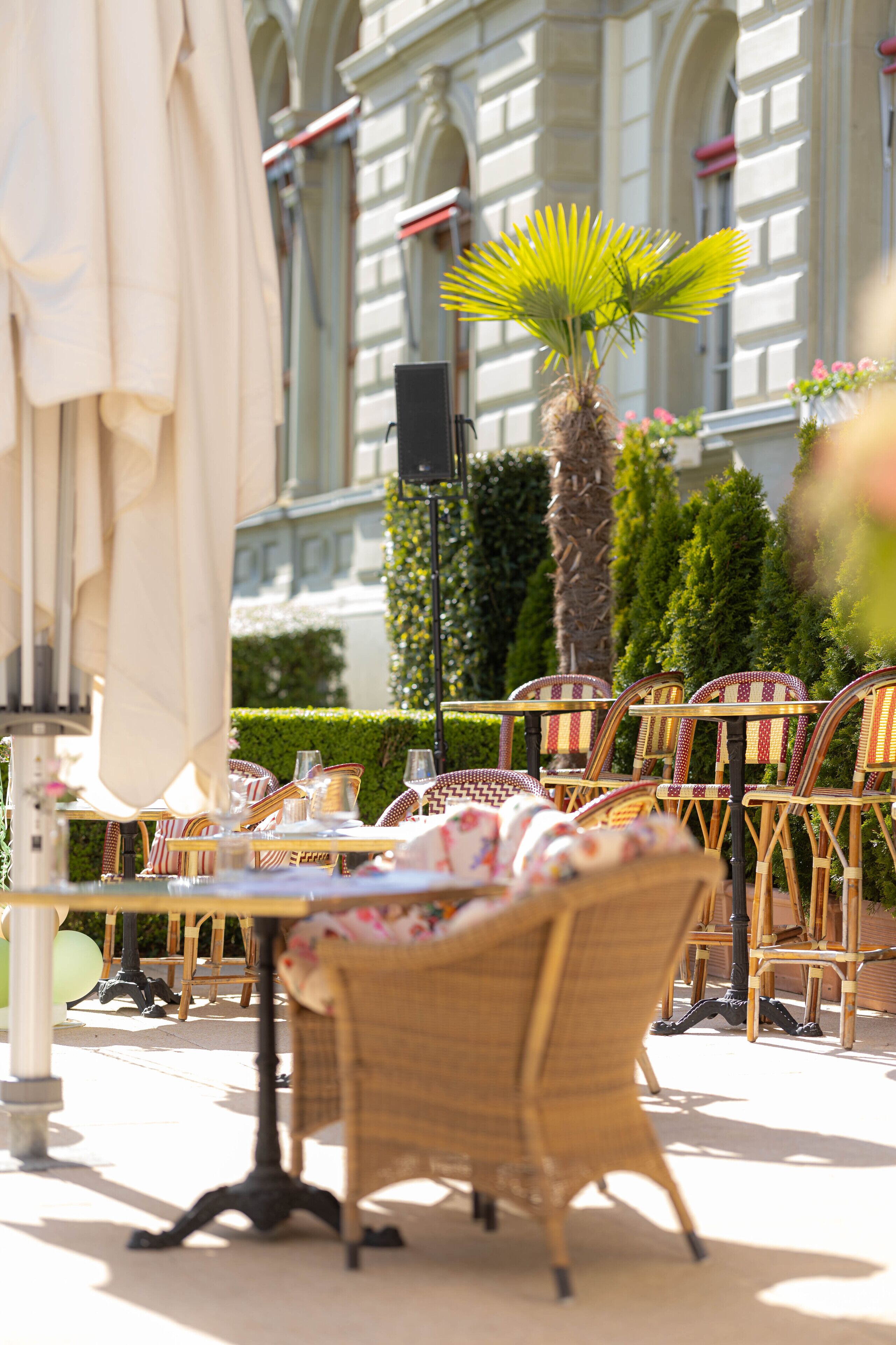 An outdoor seating area with wicker chairs and tables, a palm tree, and a building with arched windows in the background.