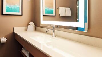 A modern bathroom with a large mirror, a white sink, and two framed pictures on the wall.