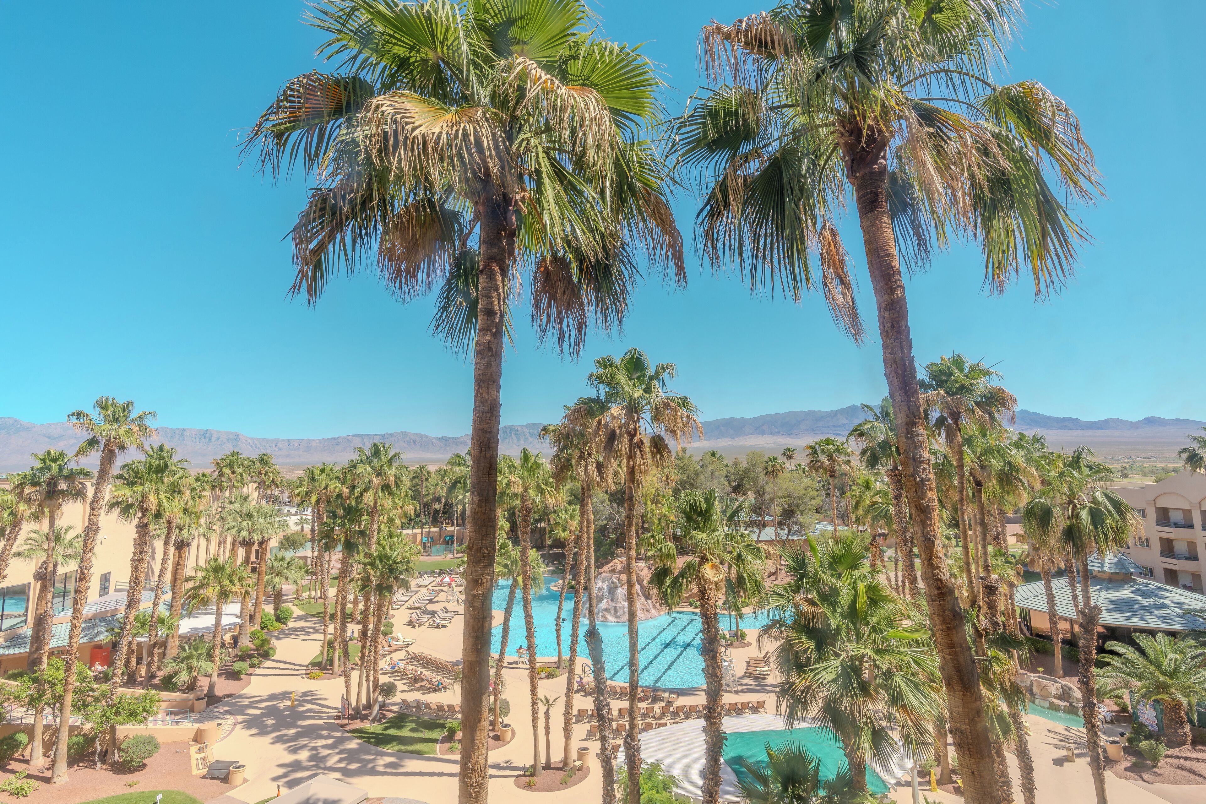 Un complexe hôtelier doté de palmiers, d’une piscine et offrant une vue sur les montagnes.