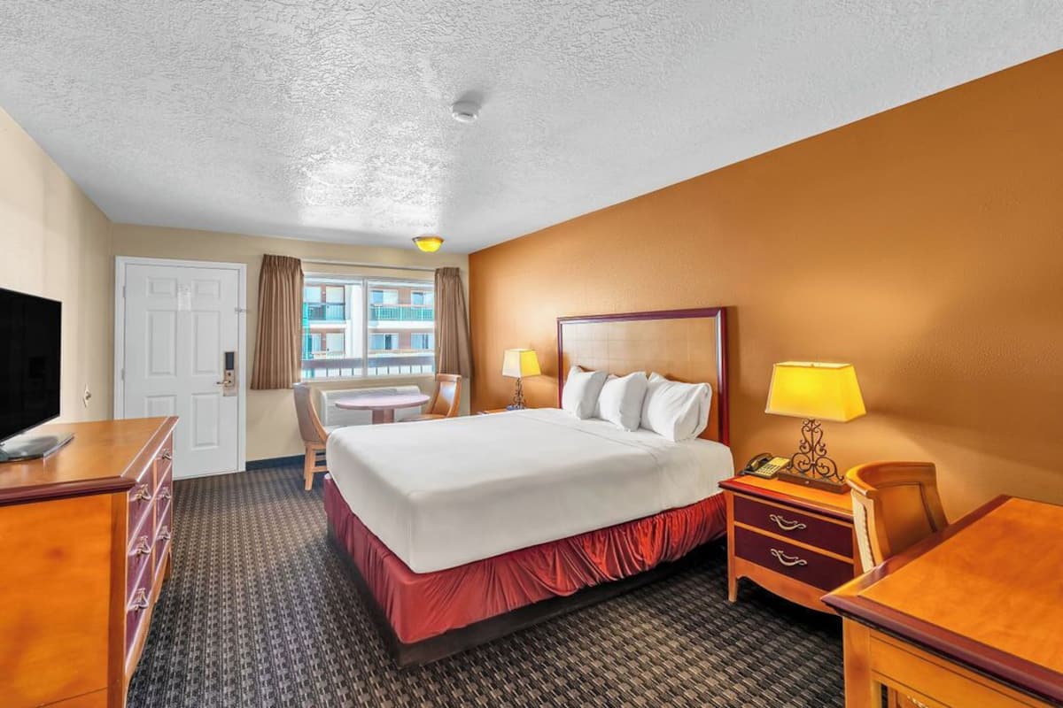 premium bedding, blackout curtains, free wifi, bed sheets