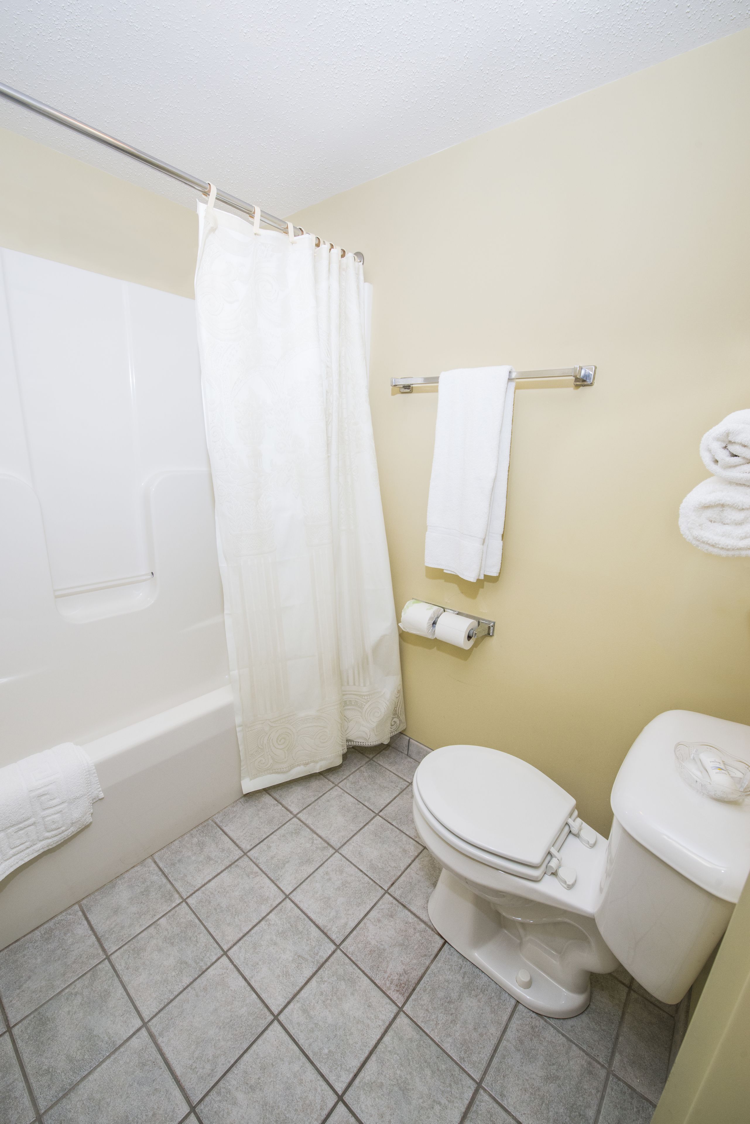A bathroom with a bathtub, toilet, and a shower curtain.