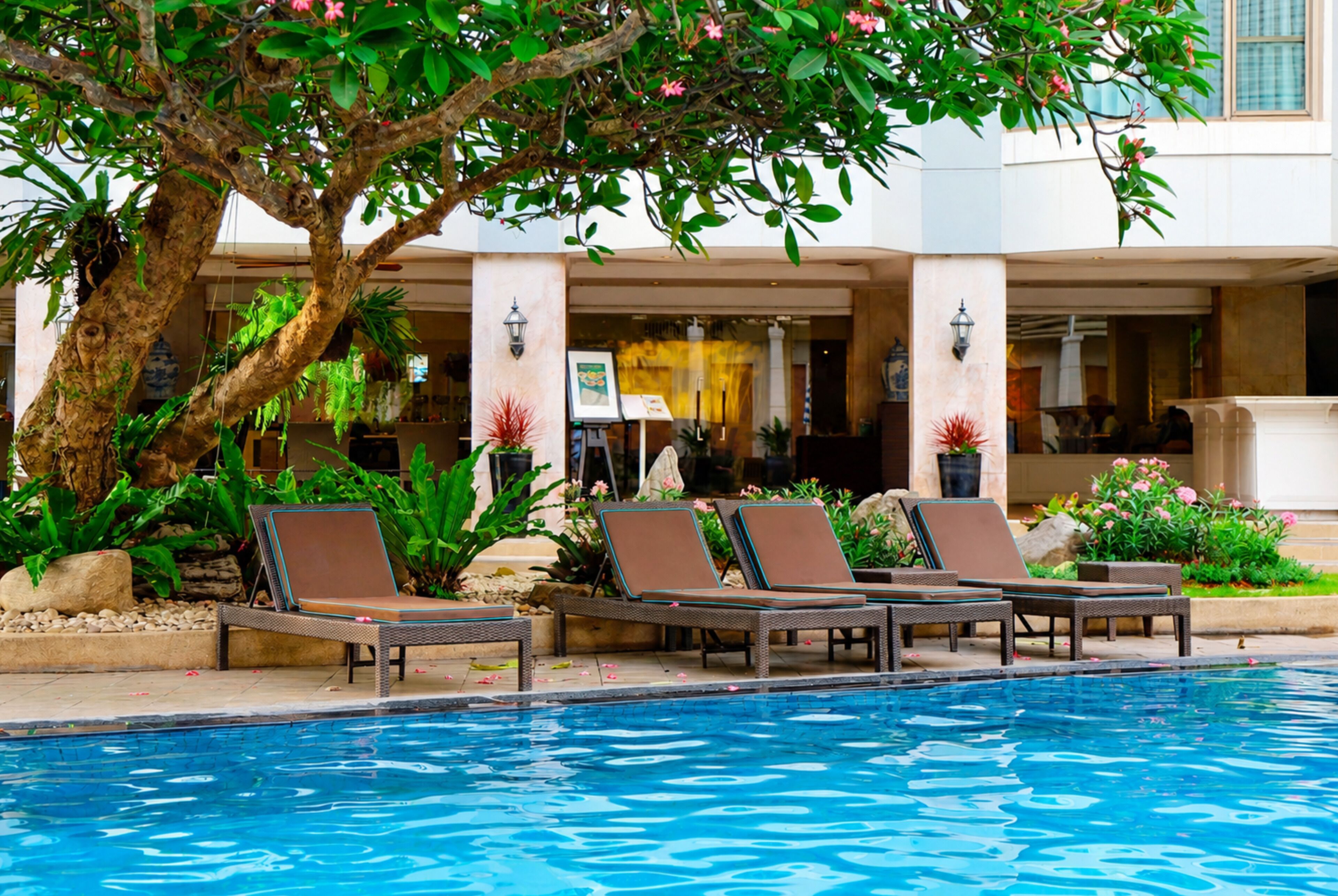 2 outdoor pools, sun loungers
