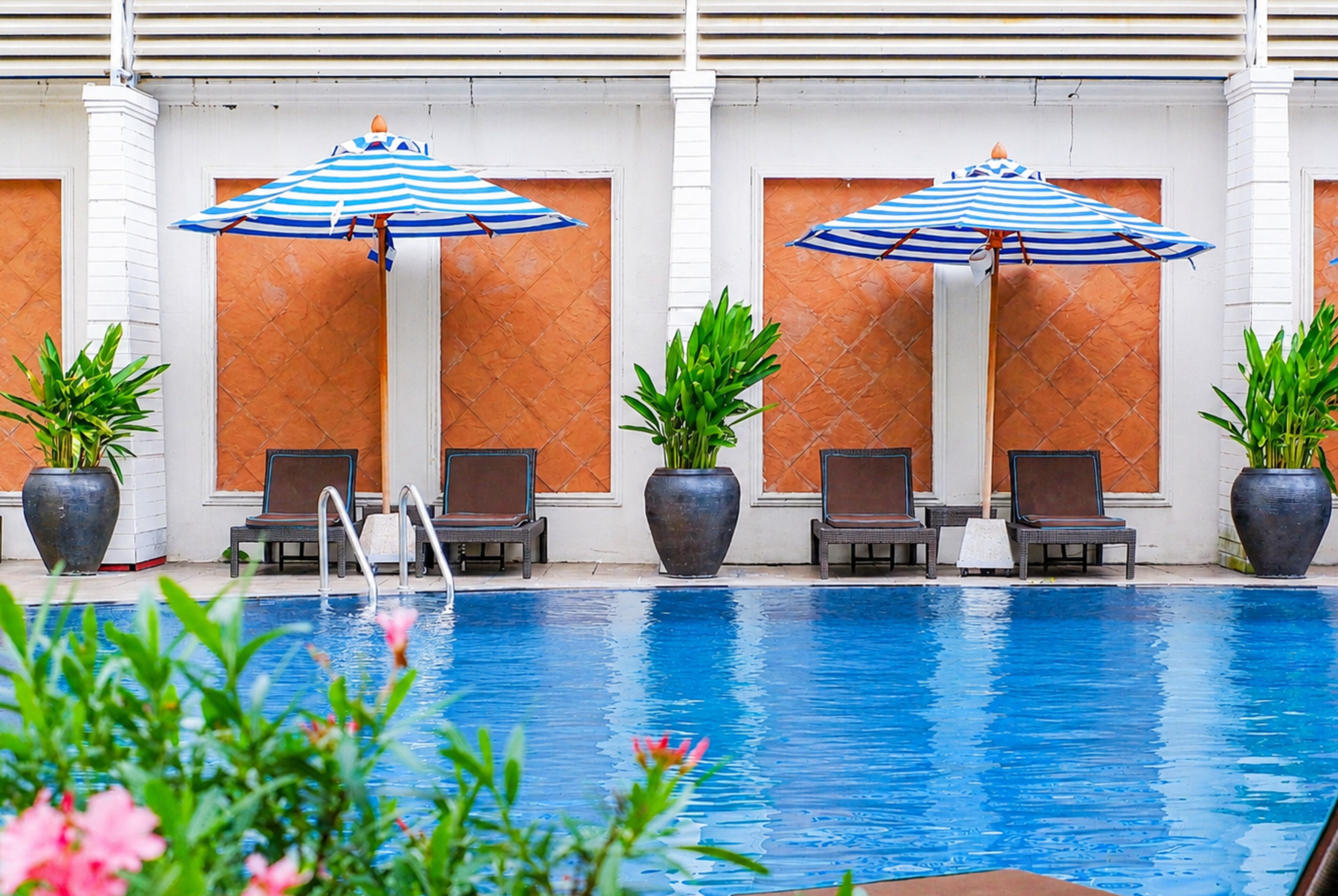 Un espace piscine agrémenté de chaises longues et de parasols, entouré de plantes en pot.