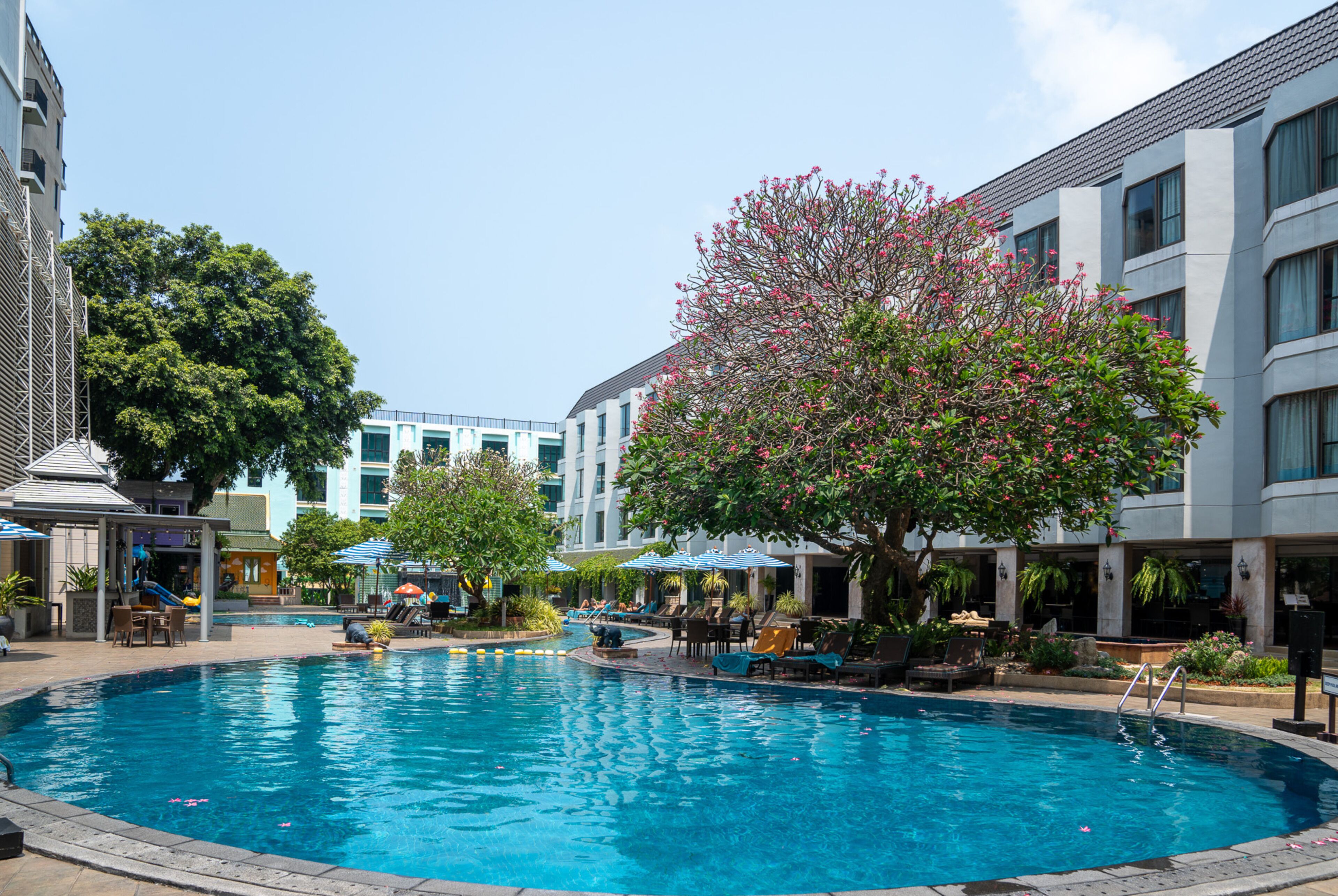 2 piscinas al aire libre, sillones reclinables de piscina